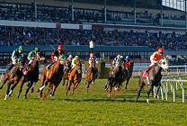 Golden Gate Fields