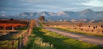 Santa Ynez